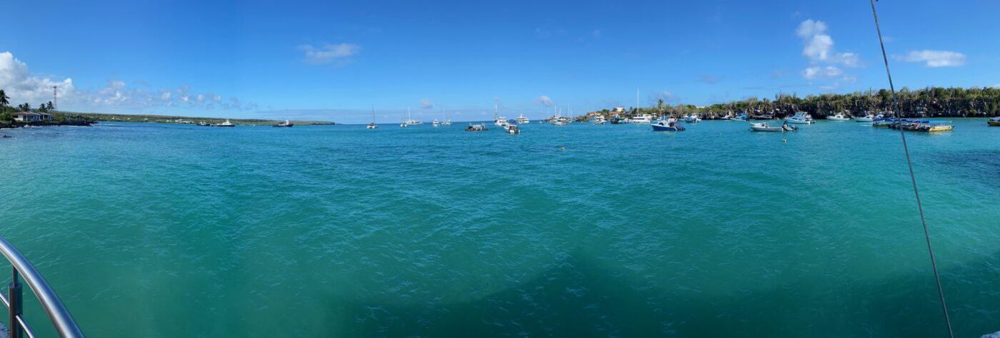 View of Puerto Ayora harbour.